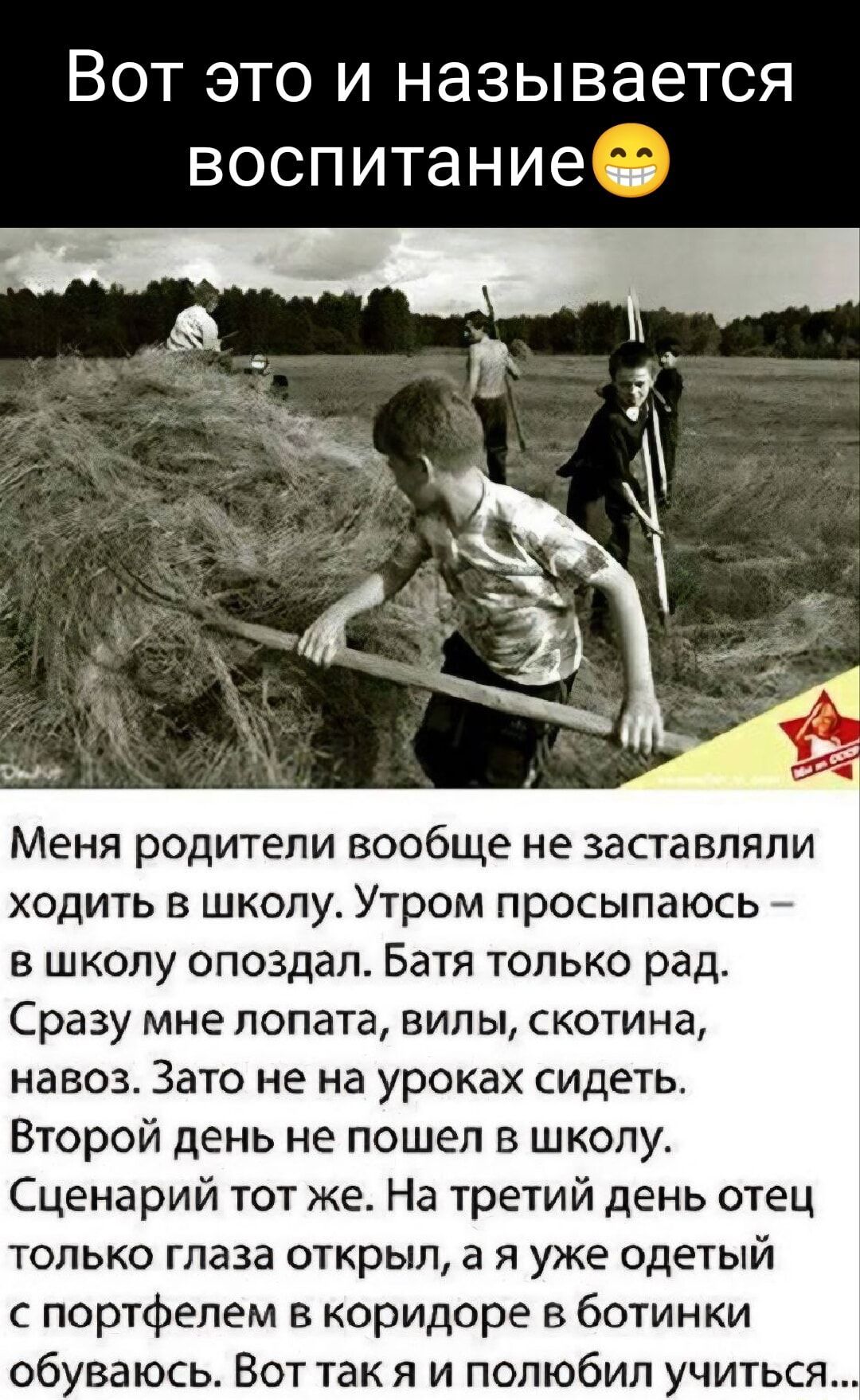 Вот это и называется воспитание Меня родители вообще не заставляли ходить в школу Утром просыпаюсь в школу опоздал Батя только рад Сразу мне лопата вилы скотина навоз Зато не на уроках сидеть Второй день не пошел в школу Сценарий тот же На третий день отец только глаза открыл а я уже одетый с портфелем в коридоре в ботинки обуваюсь Вот так я и полю