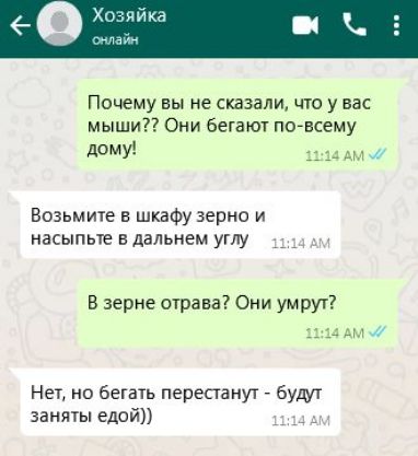 Почему вы не сказали что у вас мыши Они бегают по всему дому 1114 АМ Возьмите в шкафу зерно и насыпьте в дальнем углу В зерне отрава Они умрут 1114 АМ Нет но бегать перестанут будут заняты едой