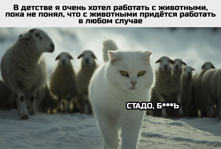 В детстве я очень хотел работать с животными пока не понял что с животными придётся равотать в любом случае СТАДО