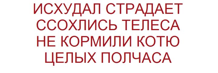 ИСХУДАЛ СТРАДАЕТ ССОХЛИСЬ ТЕЛЕСА НЕ КОРМИЛИ КОТЮ ЦЕЛЫХ ПОЛЧАСА