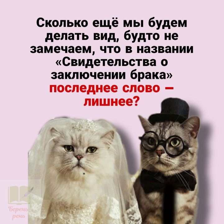 Сколько ещё мы будем делать вид будто не замечаем что в названии Свидетельства о заключении брака последнее слово лишнее