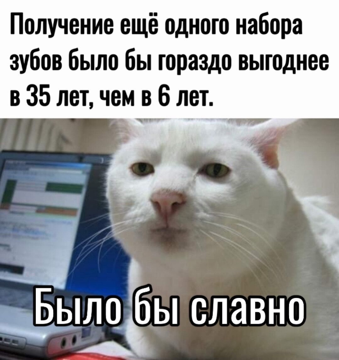 Получение ещё одного набора зубов было бы гораздо выгоднее в 35 лет чем в 6 лет од Ь й Й Ьыло_ бы славно