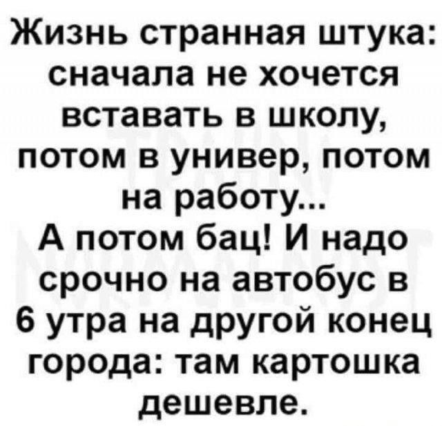 Жизнь странная штука сначала не хочется вставать в школу потом в универ потом на работу А потом бац И надо срочно на автобус в 6 утра на другой конец города там картошка дешевле