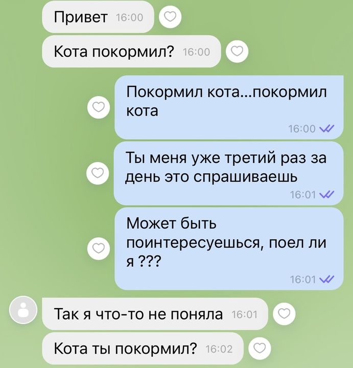 Привет Кота покормил Покормил котапокормил кота м Ты меня уже третий раз за день это спрашиваешь м Может быть поинтересуешься поел ли я Так я что то не поняла Кота ты покормил