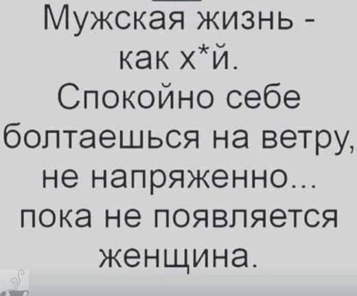 Мужская жизнь как хй Спокойно себе болтаешься на ветру не напряженно пока не появляется женщина