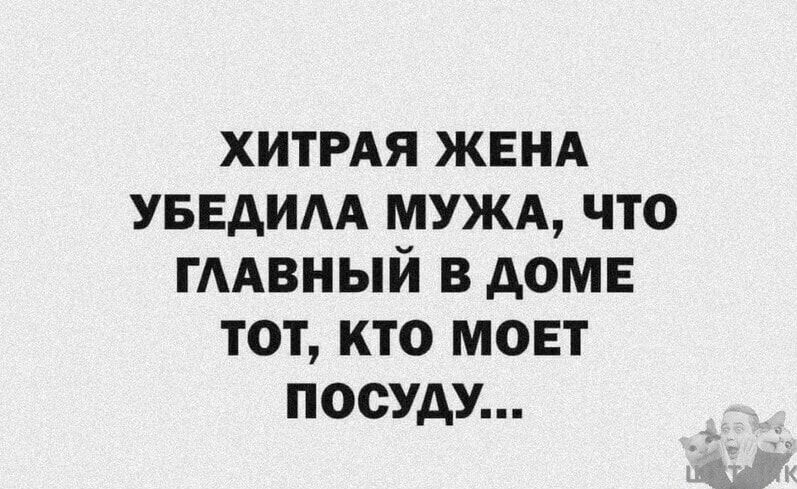 ХИТРАЯ ЖЕНА УБЕДИЛА МУЖА ЧТО ГЛАВНЫЙ В ДОМЕ ТОТ КТО МОЕТ ПОСУДУ