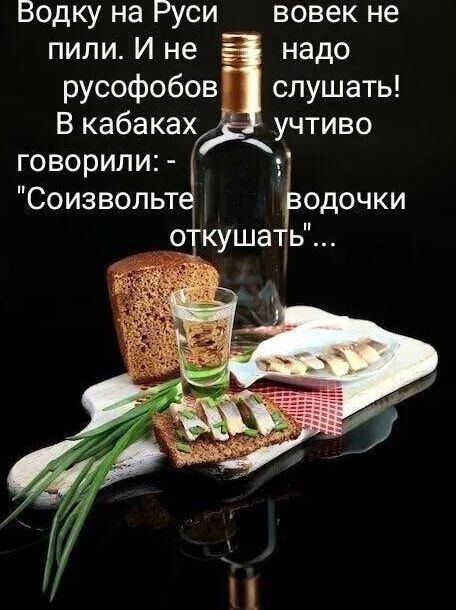 Водку на Руси вовек не пили И не надо русофобов слушать В кабаках _ учтиво говорили 4 Соизвольт Тодочки откушать П