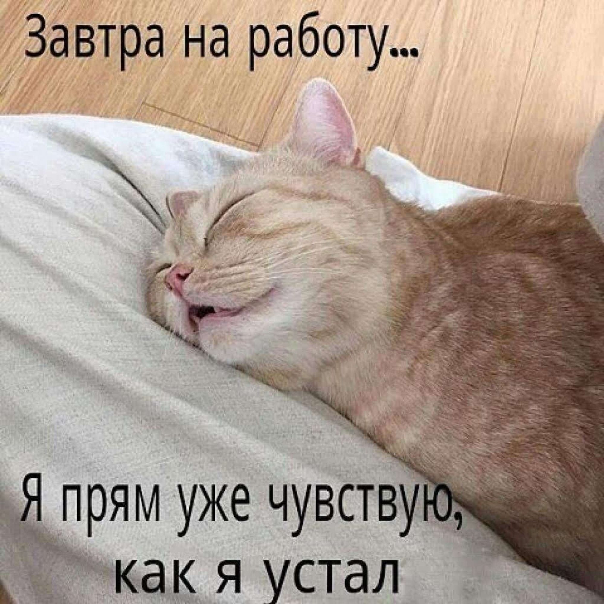 Завтра на работу