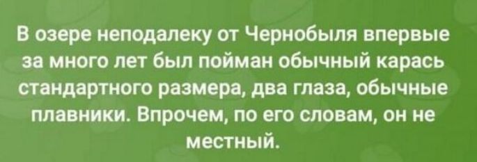 В озере неподалеку от Чернобыля впервые за много лет был пойман обычный карась стандартного размера два глаза обычные плавники Впрочем по его словам он не местный