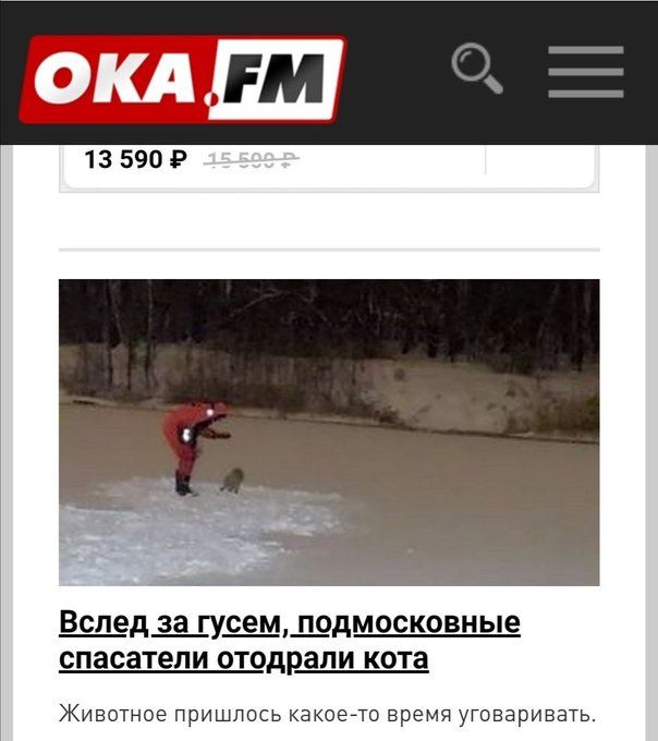13590 Р Вследза гусем подмосковные спасатели отодрали кота Животное пришлось какое то время уговаривать