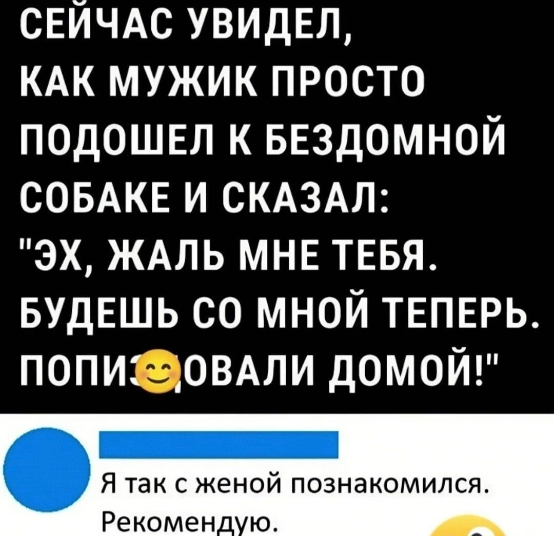 СЕЙЧАС УВИДЕЛ КАК МУЖИК ПРОСТО ПОДОШЕЛ К БЕЗДОМНОЙ СОБАКЕ И СКАЗАЛ ЭХ ЖАЛЬ МНЕ ТЕБЯ БУДЕШЬ СО МНОЙ ТЕПЕРЬ ПОПИОВАЛИ ДОМОЙ Я так сже познакомился Рекоменд