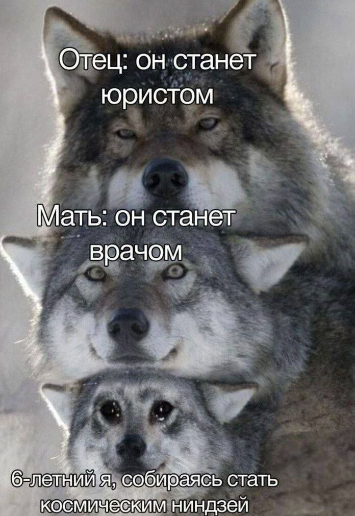 Отец он станет юристом Космическимниндзей
