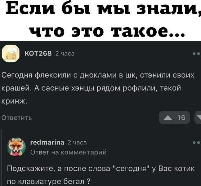 оы мы знали что это такое КОТ268 2 часа Сегодня флексили с дноклами в шк стэнили своих крашей А сасные хэнцы рядом рофлили такой кринж ж 16 х а гейтапйпа 2 Ответ не Подскажите а после слова сегодня у Вас котик по клавиатуре бегал
