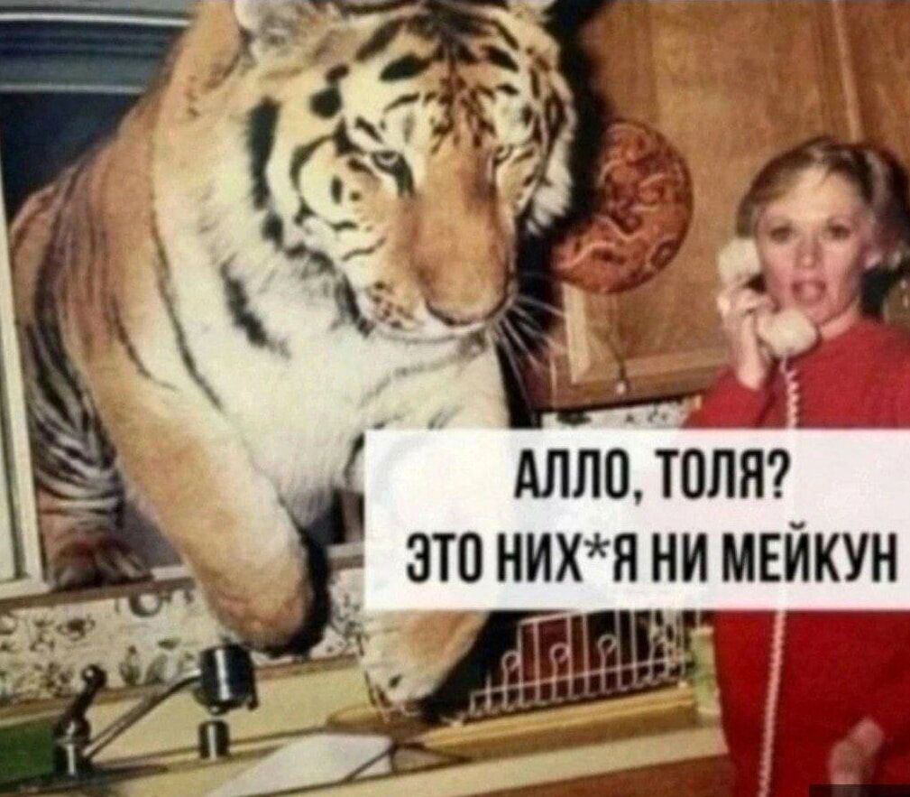 ь АЛЛО ТОЛЯ _ этонихчянИ МЕЙКУН