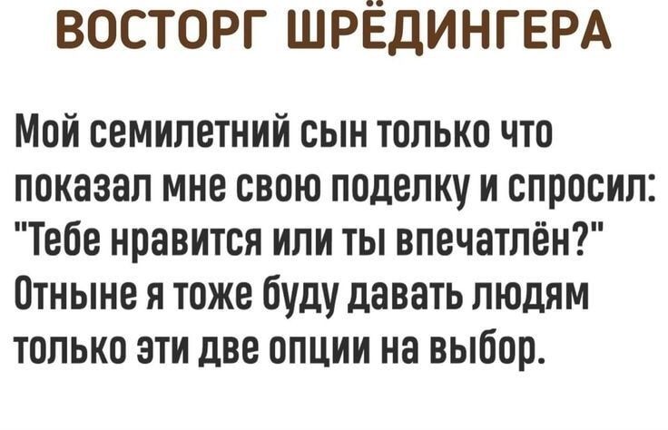 ВОСТОРГ ШРЕДИНГЕРА Мой семилетний сын только что показал мне свою поделку и спросил Тебе нравится или ты впечатлён Отныне я тоже буду давать людям только эти две опции на выбор