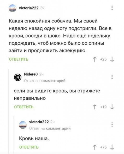 н еонао2 Какая спокойная собачка Мы своей неделю назад одну ногу подстригли Все в крови соседи в шоке Надо ещё недельку подождать чтоб можно было со спины зайти и продолжить экзекуцию ОТВЕТИТЬ Т 5 0 Мбетео комментарий если вы видите кровь вы стрижете неправильно ОТВЕТИТЬ Т т Меюпа222 комментарий Кровь наша ОТВЕТИТЬ Т 5 ф