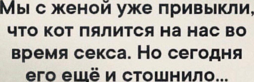 Мы с женой уже привыкли что кот пялится на нас во время секса Но сегодня его ешщё и стошнило