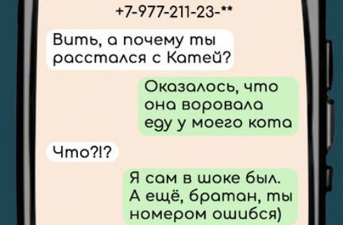 7 977 211 23 Вить а почему ты расстоался с Котей Окозалось что она воровола еду у моего кота Что Я сам в шоке был А ещё братан ты номером ошибся