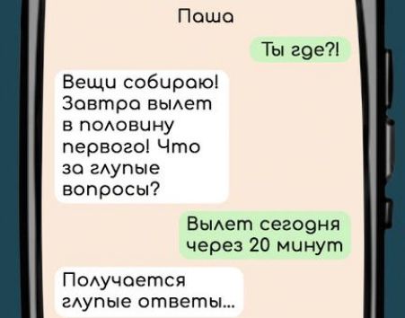 Поша Ты где Вещи собирою Зовтроа вылет в половчну первого Что за глупые вопросы Вылет сегодня через 20 минут Получается глупые ответы