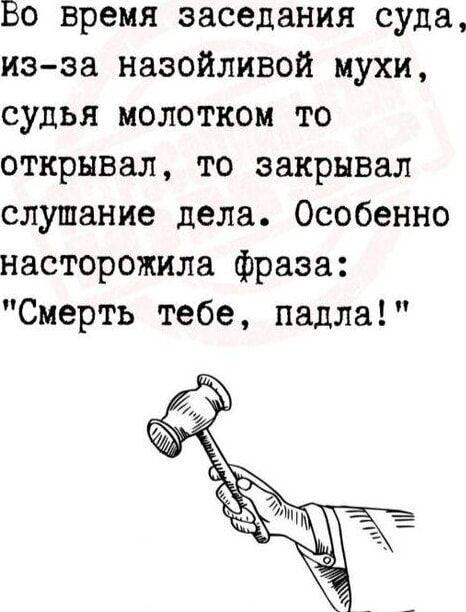 Во время заседания суда из за назойливой мухи судья молотком то открывал то закрывал слушание дела Особенно насторожила фраза Смерть тебе падла