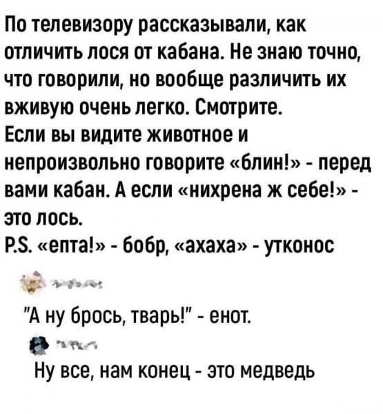 По телевизору рассказывали как отличить лося от кабана Не знаю точно что говорили но вообще различить их вживую очень легко Смотрите Если вы видите животное и непроизвольно говорите блин перед вами кабан А если нихрена ж себе это лось Р5 епта бобр ахаха утконос А ну брось тварь енот ст Ну все нам конец это медведь