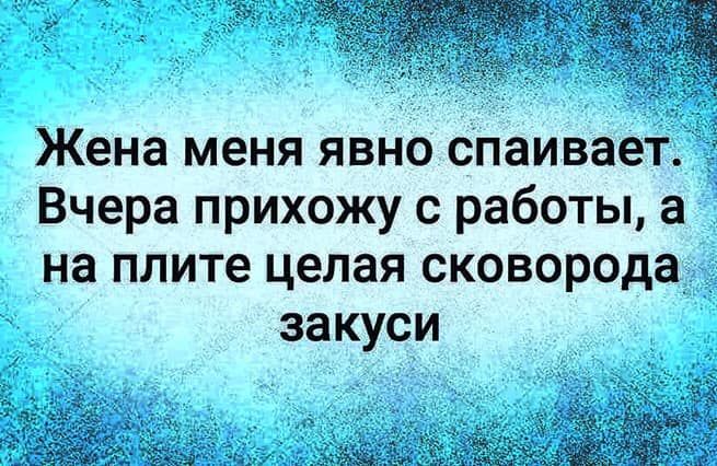 Жена меня явно спаивает _ Вчера прихожу с работы а на плите целая сковорода закуси