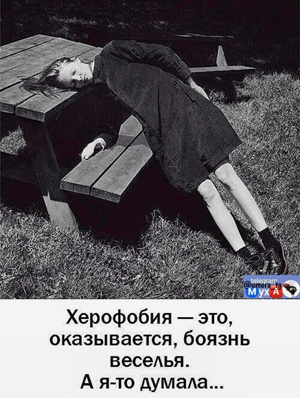 Херофобия это оказывается боязнь веселья А я то думала