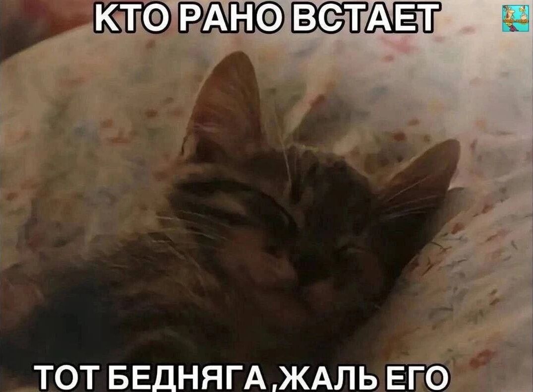 й ае ТОТ БЕДНЯГА ЖАЛЬЕГО