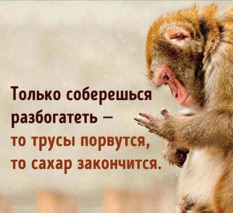 Только соберешься разбогатеть то трусы порвутся то сахар закончится