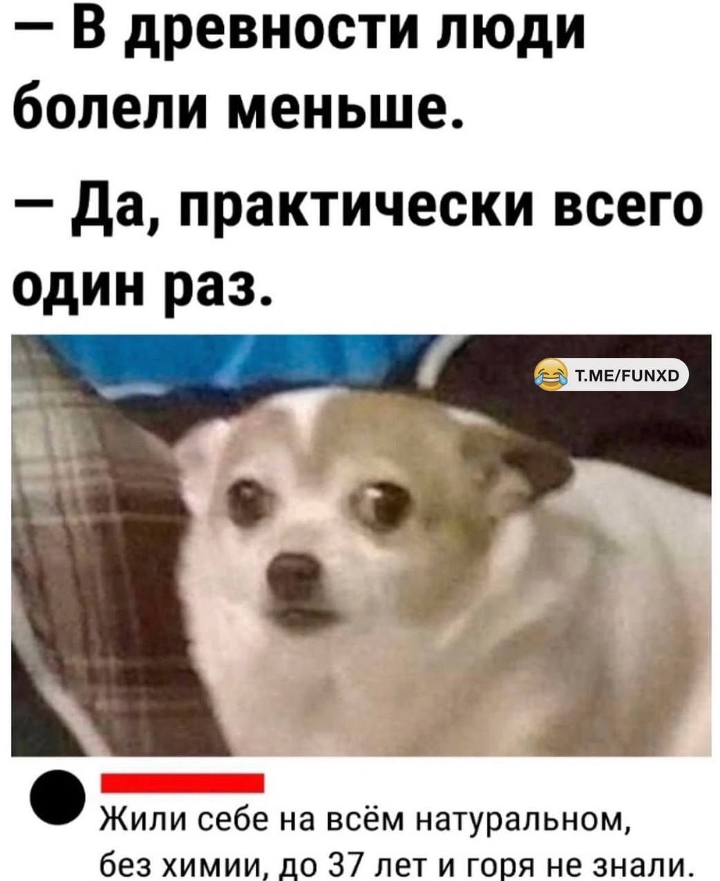 В древности люди болели меньше Да практически всего один раз Е тлЕРиМхО Жили себе на всём натуральном без химии до 37 лет и горя не знали