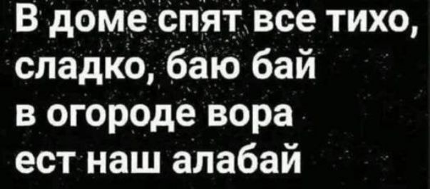 В доме спят все тихо сладко баю бай в огороде вора ест наш алабай