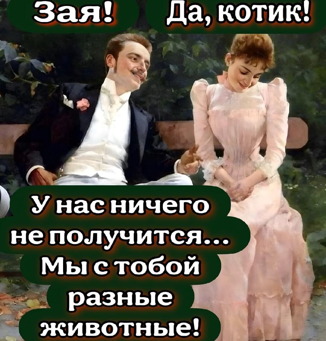 Зая! Да, котик! У нас ничего не получится... Мы с тобой разные животные!