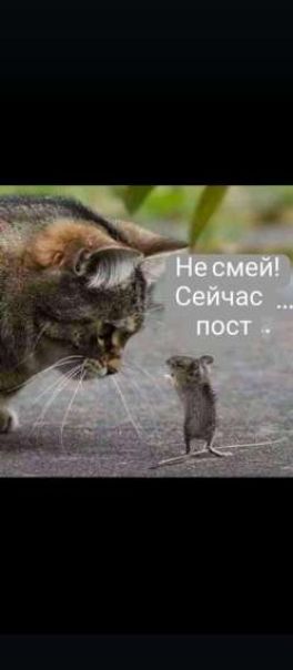 Не смей! Сейчас ... пост .