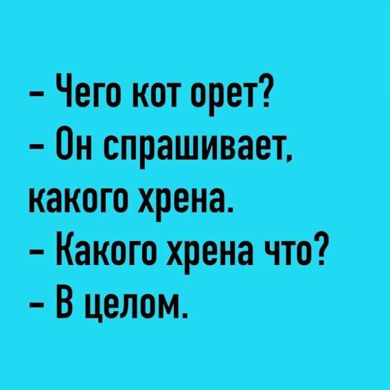 - Чего кот орет?
- Он спрашивает, какого хрена.
- Какого хрена что?
- В целом.