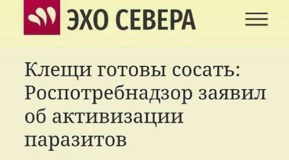 Клещи готовы сосать: Роспотребнадзор заявил об активизации паразитов