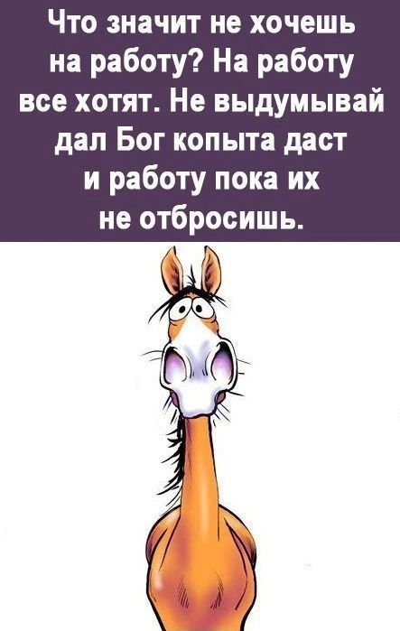 Что значит не хочешь на работу? На работу все хотят. Не выдумывай дал Бог копыта даст и работу пока их не отбросишь.