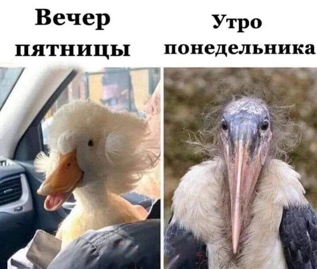 Вечер пятницы
Утро понедельника