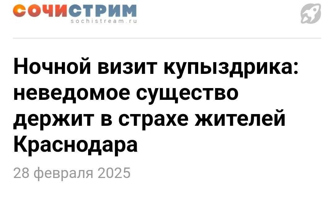 Ночной визит купыздырика: неведомое существо держит в страхе жителей Краснодара
28 февраля 2025