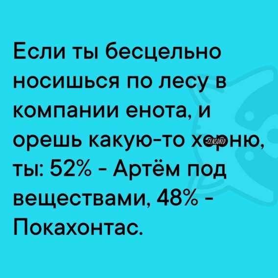 Если ты бесцельно носишься по лесу в компании енота, и ориш какую-то хрень, ты: 52% - Артём под веществами, 48% - Покахонтас.