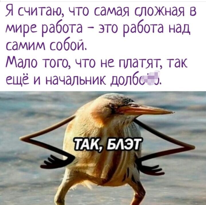 Я считаю, что самая сложная в мире работа – это работа над самим собой. Мало того, что не платят, так ещё и начальник долб***. ТАК, БЛЭТ