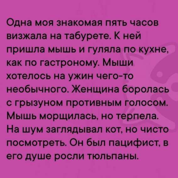 Одна моя знакомая пять часов визжала на табурете. К ней пришла мышь и гуляла по кухне, как по гастроному. Мыши хотелось на ужин чего-то необычного. Женщина боролась с грузыным противным голосом. Мышь морщилась, не терпела. На шум заглядывал кот, но чисто посмотреть. Он был пацифист, в его душе росли тюльпаны.