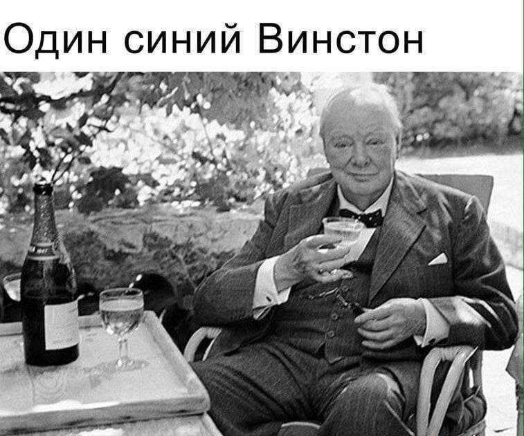 Один синий Винстон