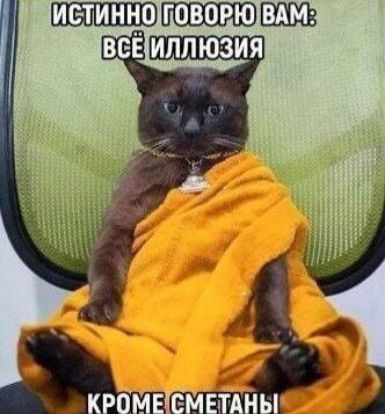 ИСТИННО ГОВОРЮ ВАМ: ВСЁ ИЛЛЮЗИЯ КРОМЕ СМЕТАНЫ