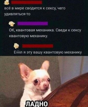 всё в мире сводится к сексу, чего удивляться-то
ОК, квантовая механика. Сведи к сексу квантовую механику.
Е*ал я эту вашу квантовую механику
ЛАДНО