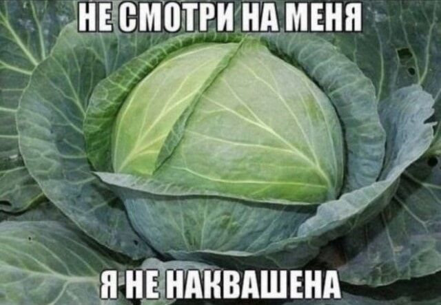 НЕ СМОТРИ НА МЕНЯ Я НЕ НАКВАШЕНА