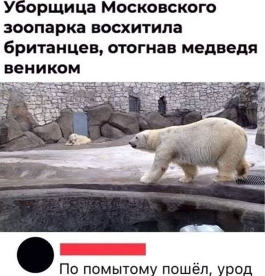 Уборщица Московского зоопарка восхитила британцев, отогнав медведя веником
По помытьму пошёл, урод
