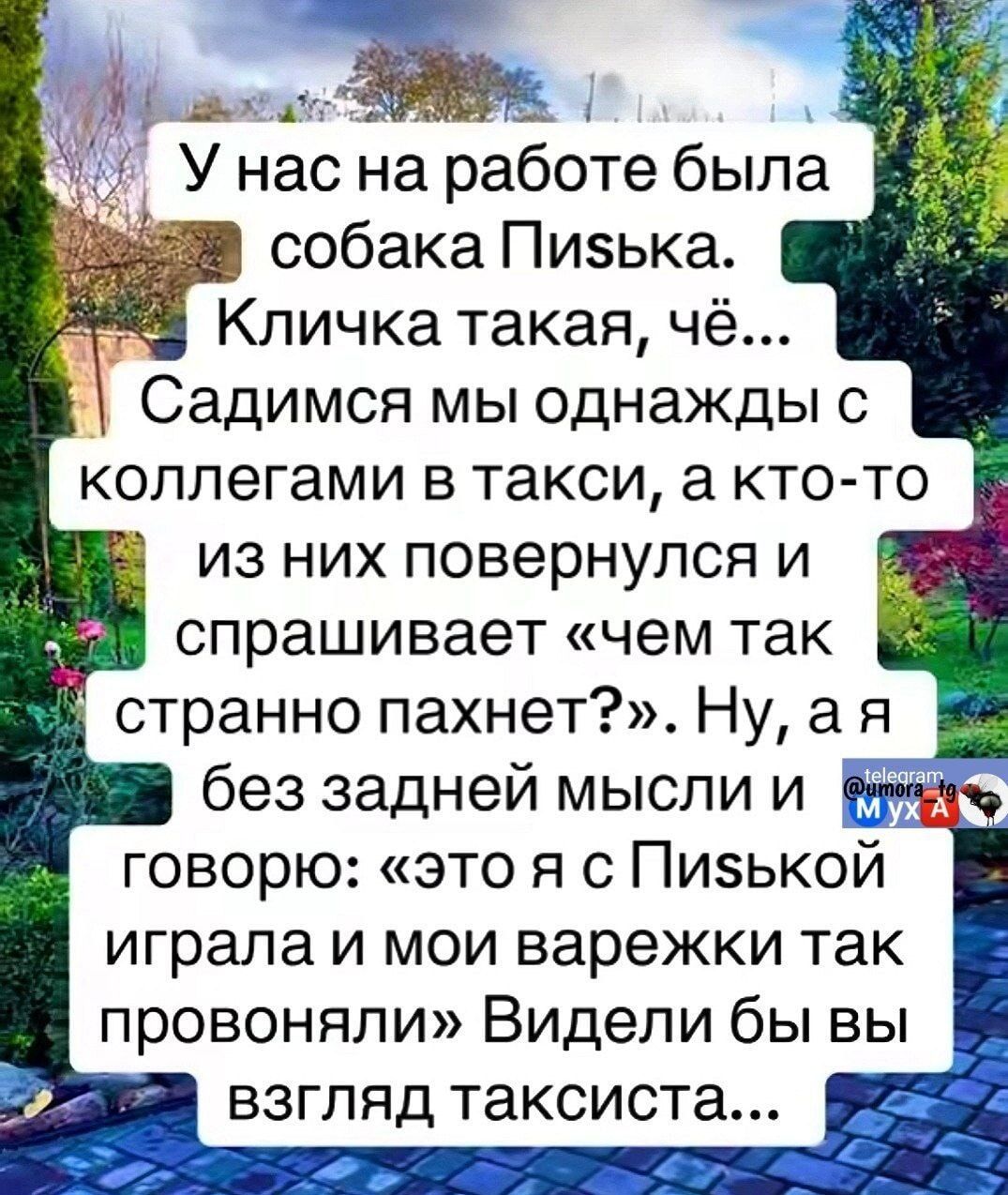 У нас на работе была собака Писька. Кличка такая, ё... Садимся мы однажды с коллегами в такси, а кто-то из них повернулся и спрашивает «чем так странно пахнет?». Ну, а я без задней мысли и говорю: «это я с Писькой играла и мои варежки так провоняли» Видели бы вы взгляд таксиста...