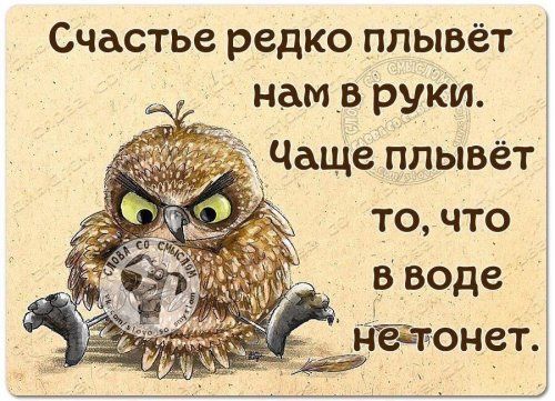Счастье редко плывёт нам в руки. Чаще плывёт то, что в воде не тонет.