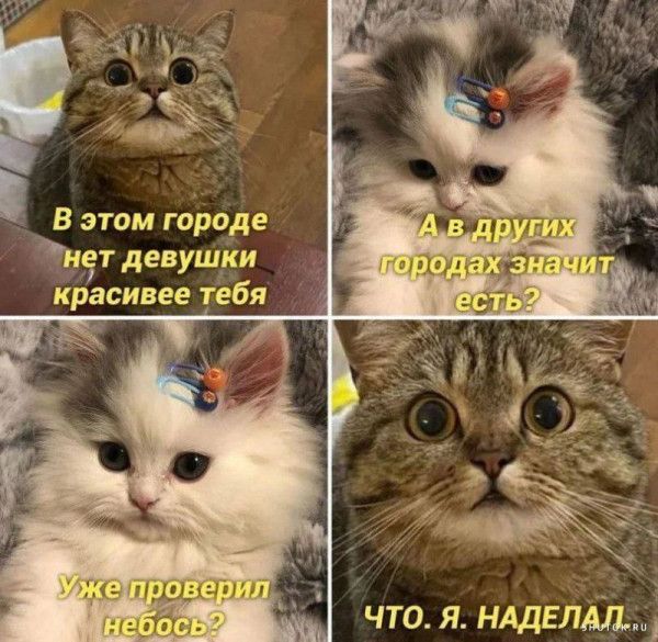 В этом городе нет девушки красивее тебя?
А в других городах значит есть?
Уже проверил небос?
ЧТО. Я. НАДЕЛАЛ.