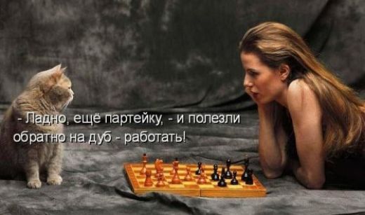 - Ладно, еще партию, - и полезли обратно на дуб - работать!